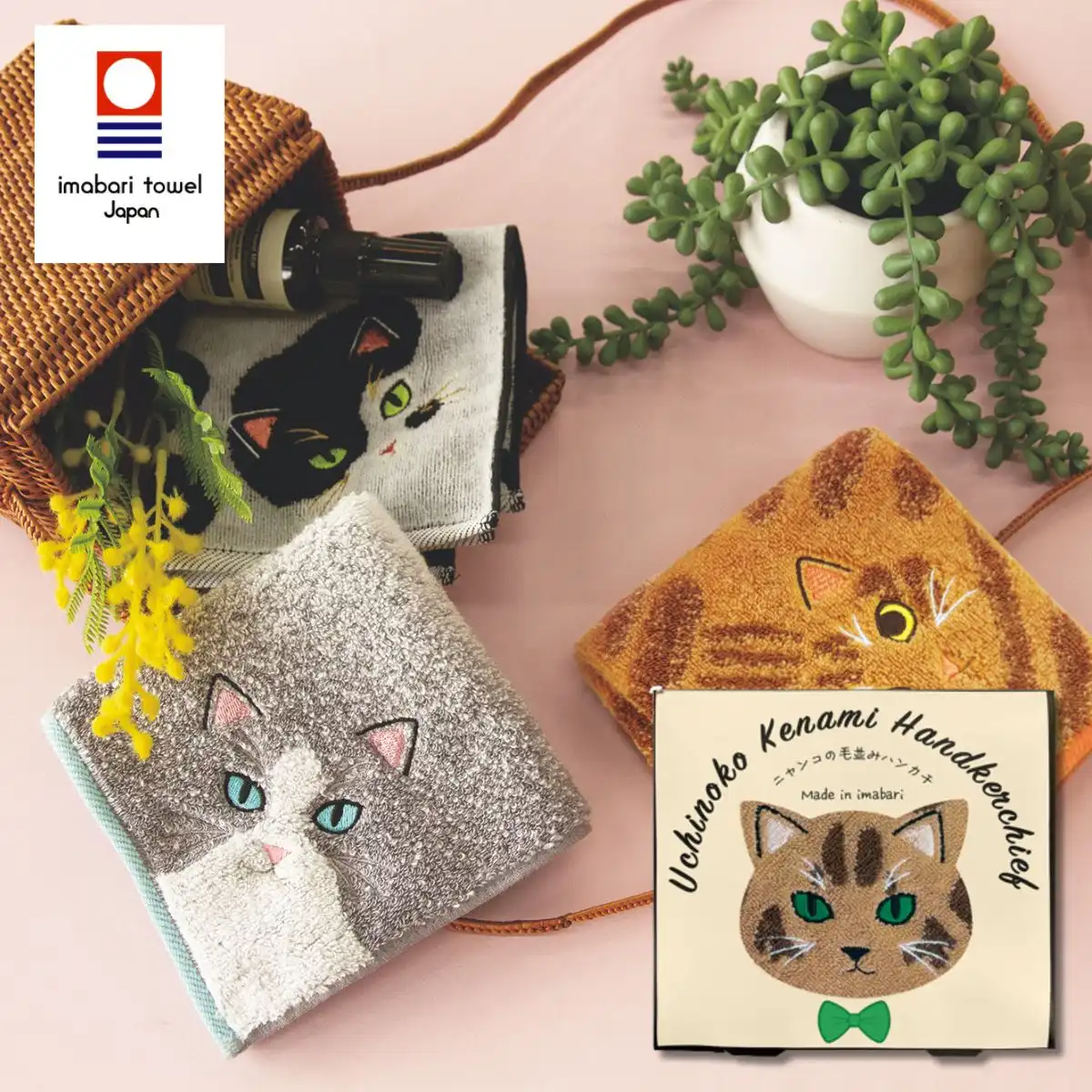 ♡三毛猫♡さん専用 Amazon | セガトイズ(SEGA TOYS) なおしてあげる！こねこのおいしゃ