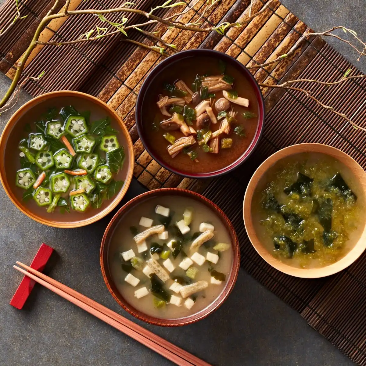 フリーズドライ バラエティセット FDH-20｜ギフトプラザオンライン