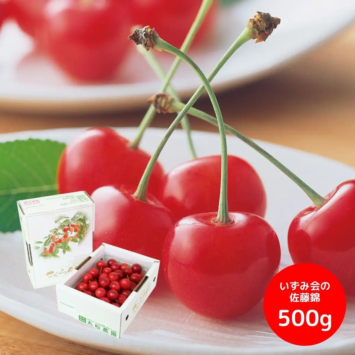 いずみ会の秀品佐藤錦500g (6月中旬より順次出荷予定) (承り期間：6月