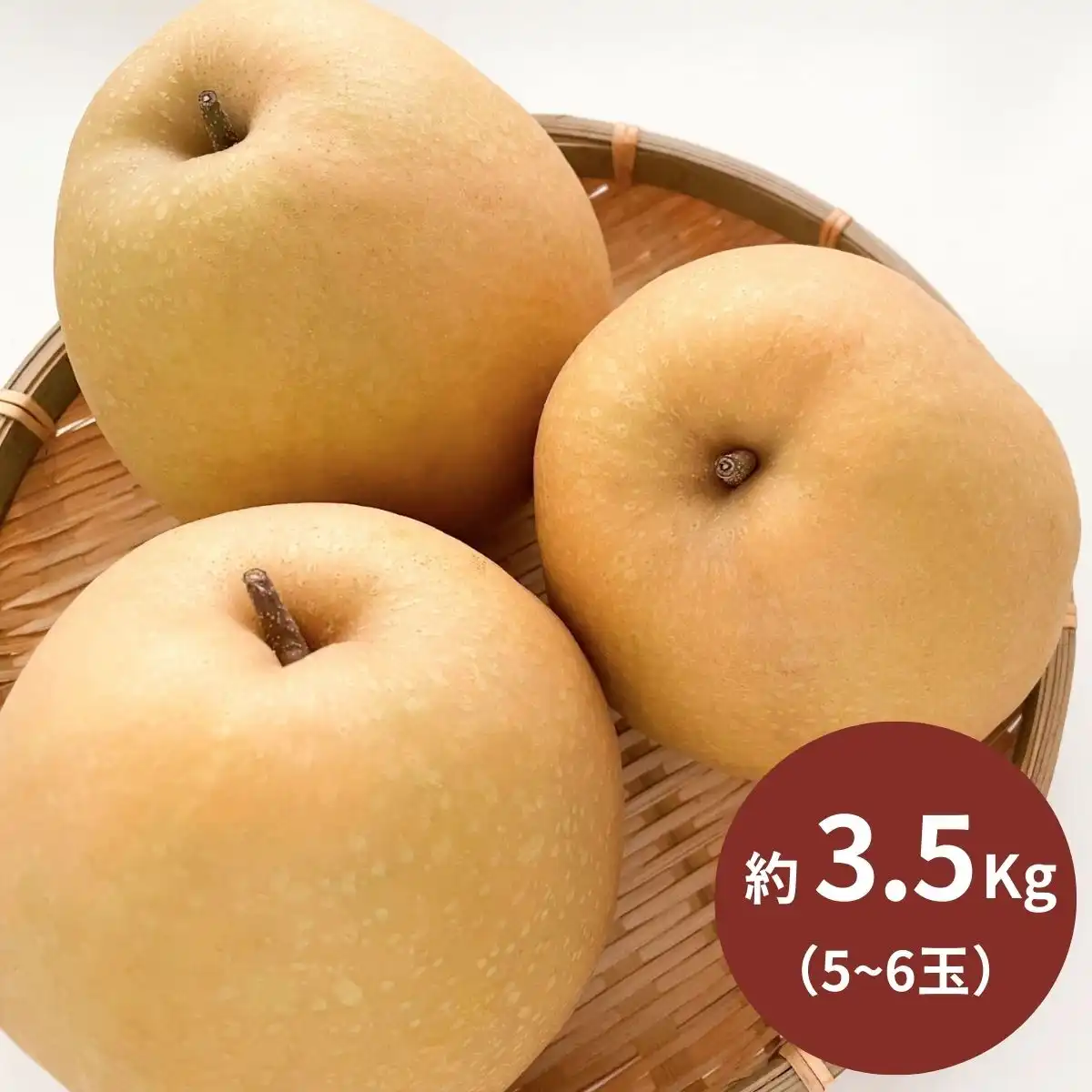 鳥取県産 王秋梨［3.5kg］ 【承り期間：12月16日まで  