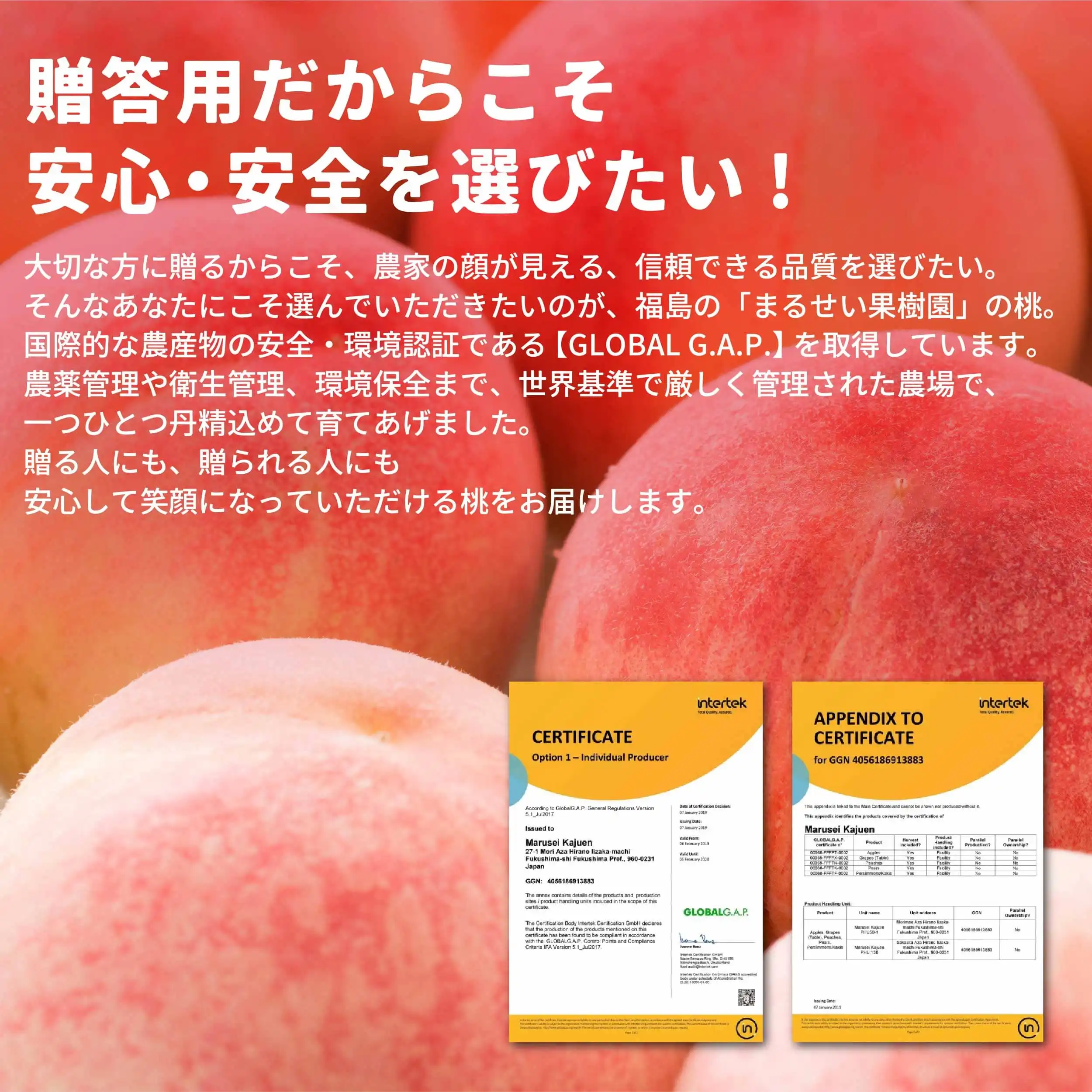 ももちゃん果樹園の桃 幻の桃 CX 5キロ