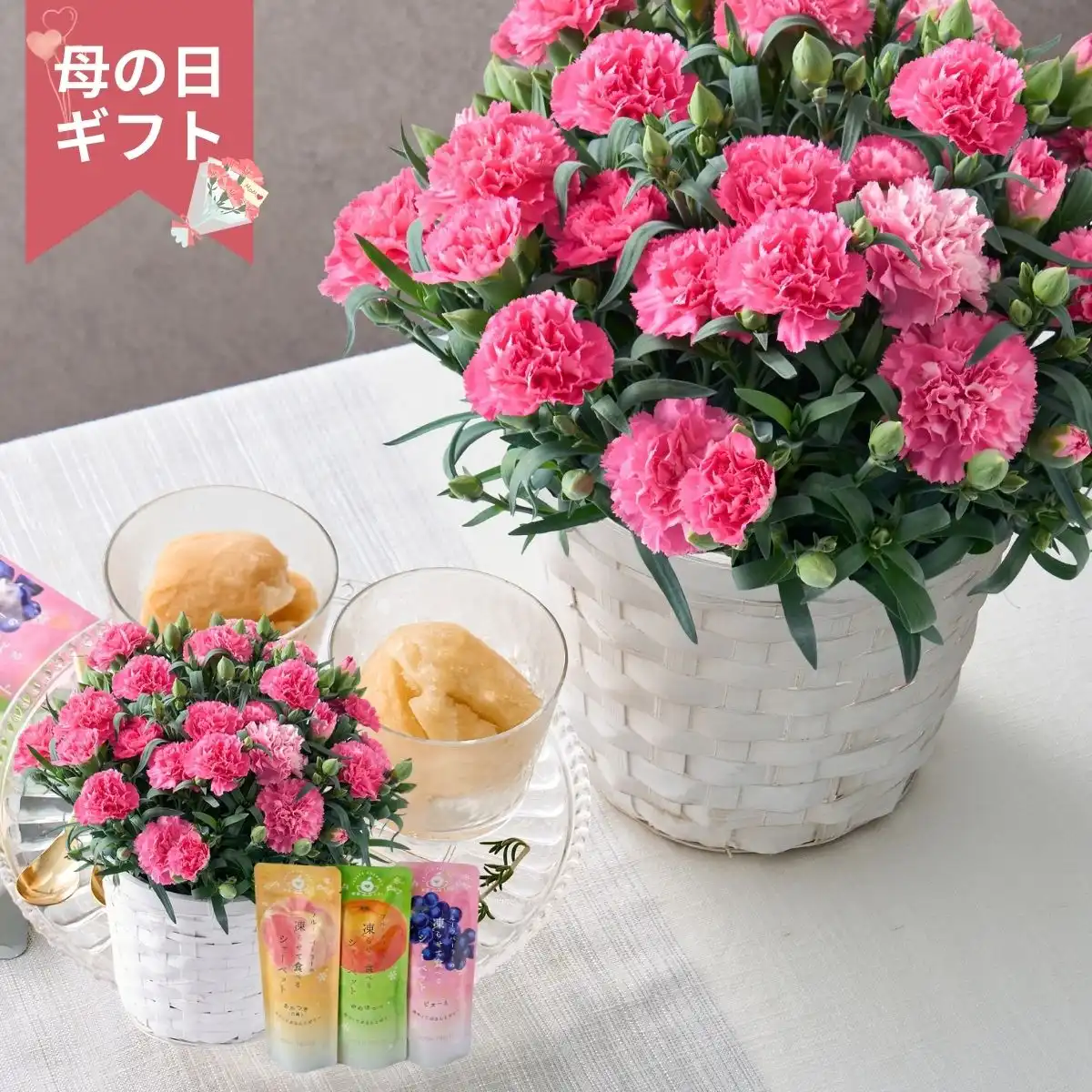 【母の日専用】ホシファーム カーネーション鉢＆凍らせて食べるシャーベット 彩果しずく3袋 (承り期間：4月28日まで) ※メーカー直送品