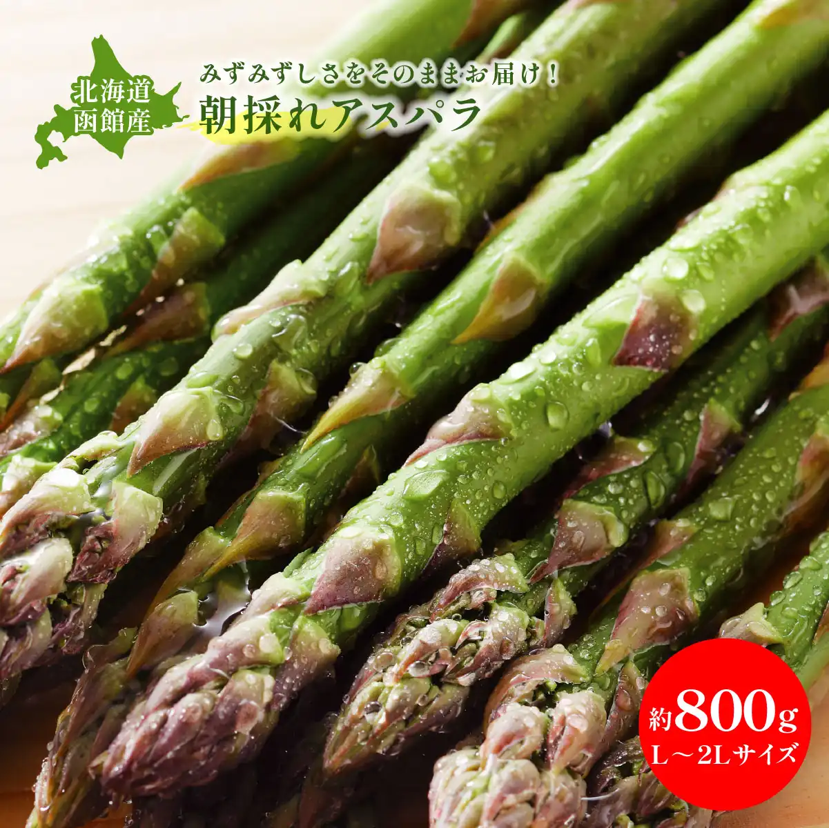 函館つるの生産組合 函館産サマーアスパラ L～2Lサイズ (7月下旬より順次出荷予定) (承り期間：7月25日まで) ※メーカー直送品