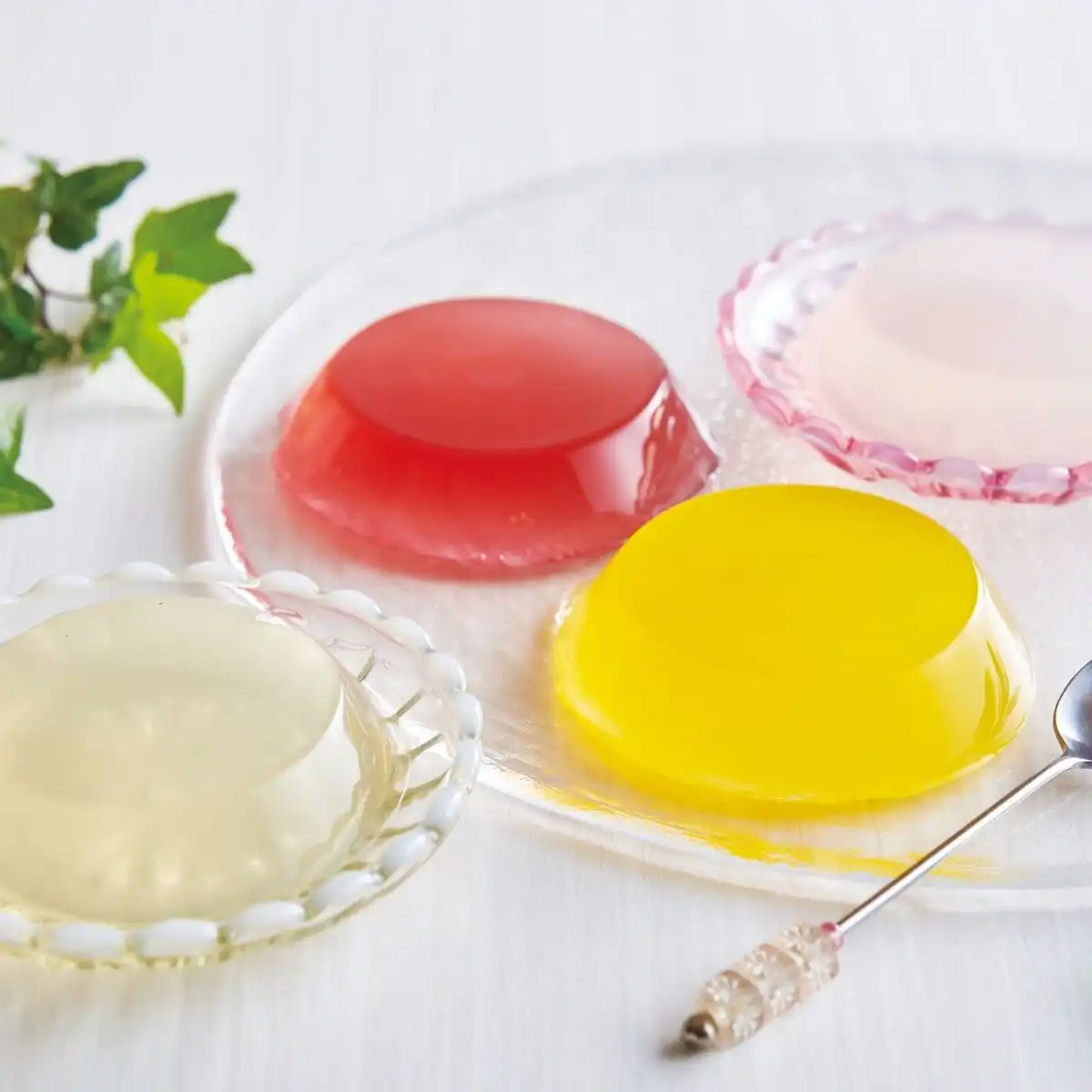 杉本屋 ロイヤルセレクトゼリー DRG-20G｜ギフトプラザオンライン